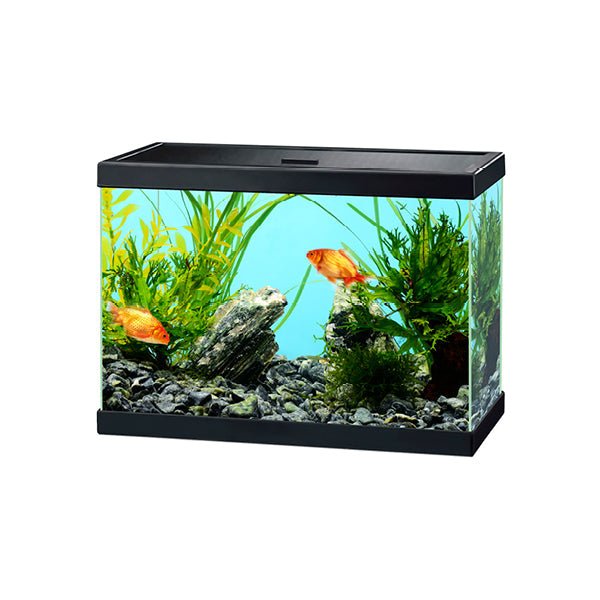 Ciano Aqua 15 Aquarium - Black 13L