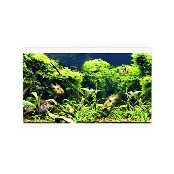 Ciano Aquarium 60 Plus LED - White