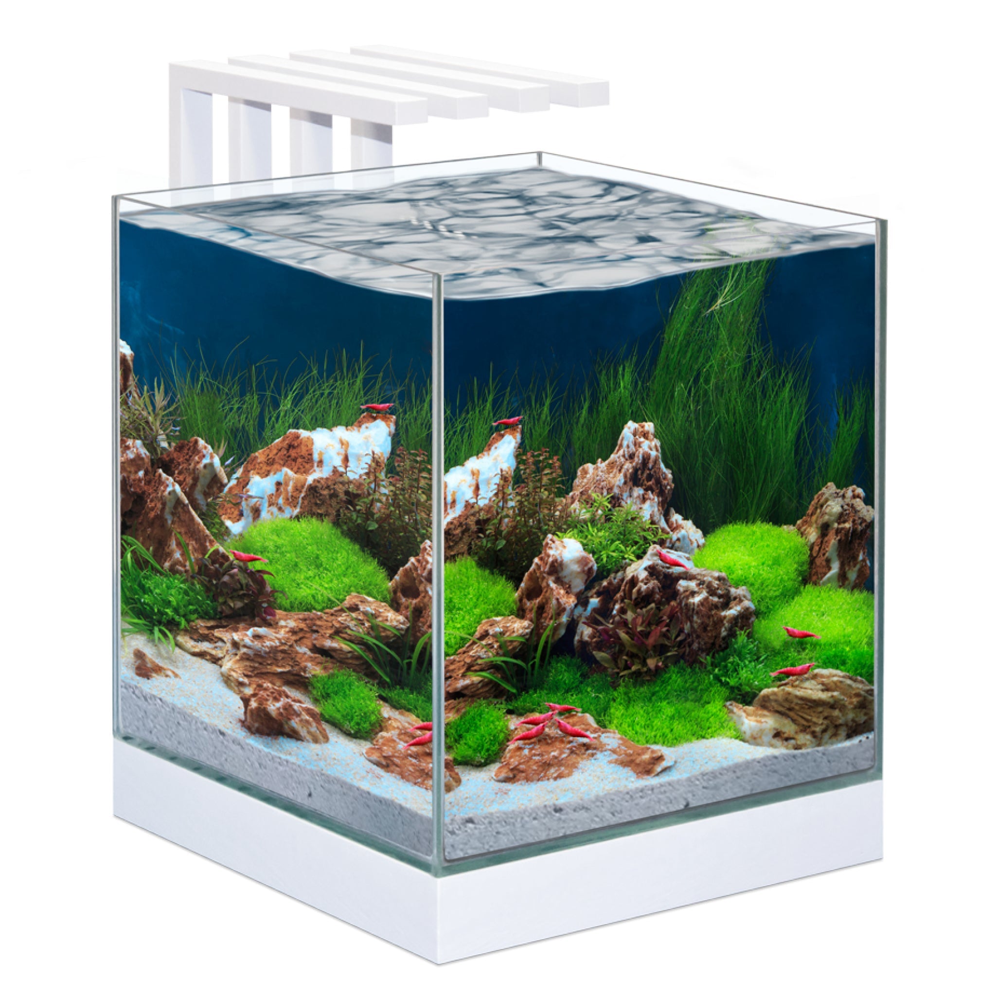 Ciano Nexus Pure Cube Aquarium With LED - 25 22L