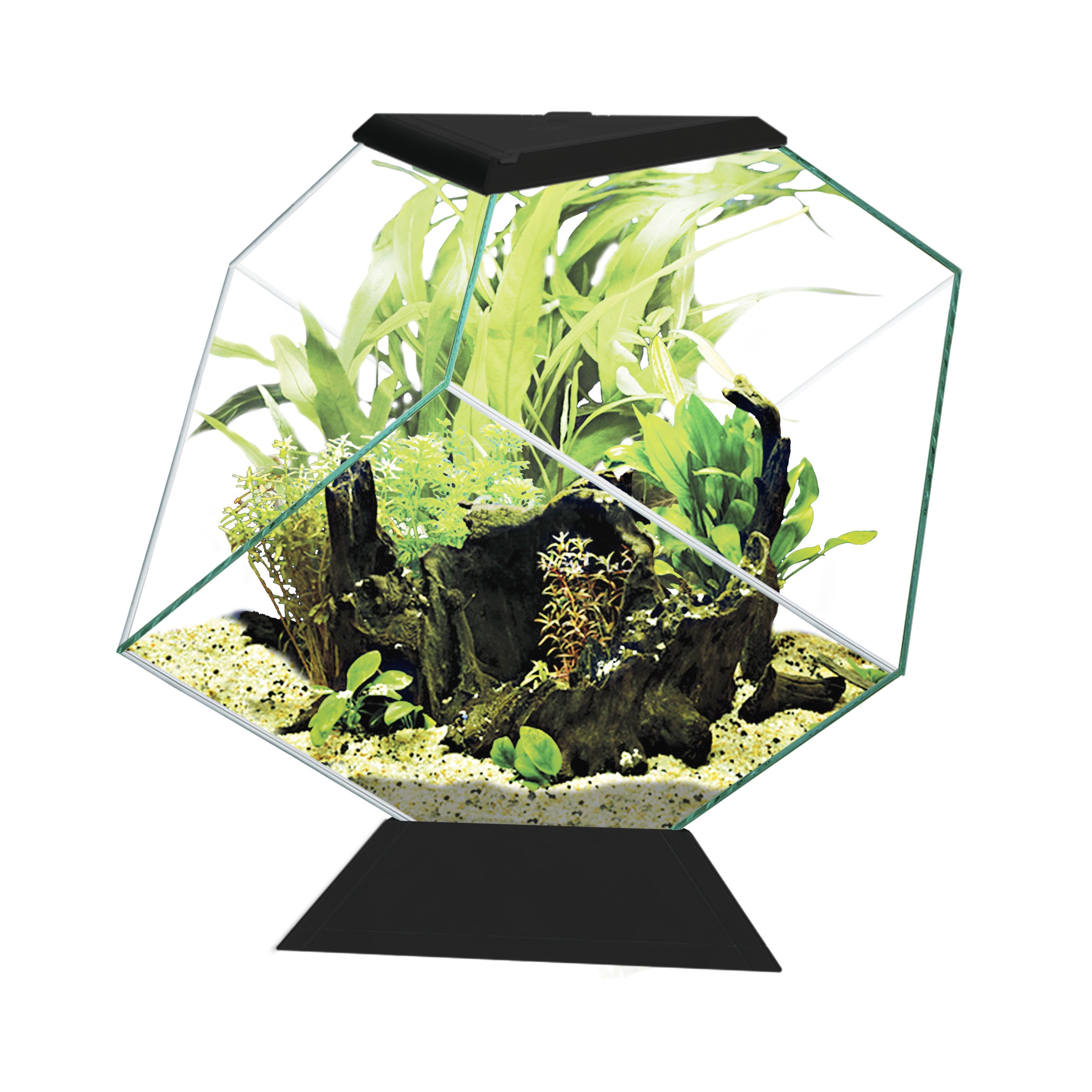 Ciano Nexus 14C White Aquarium + RGB LED light - Black