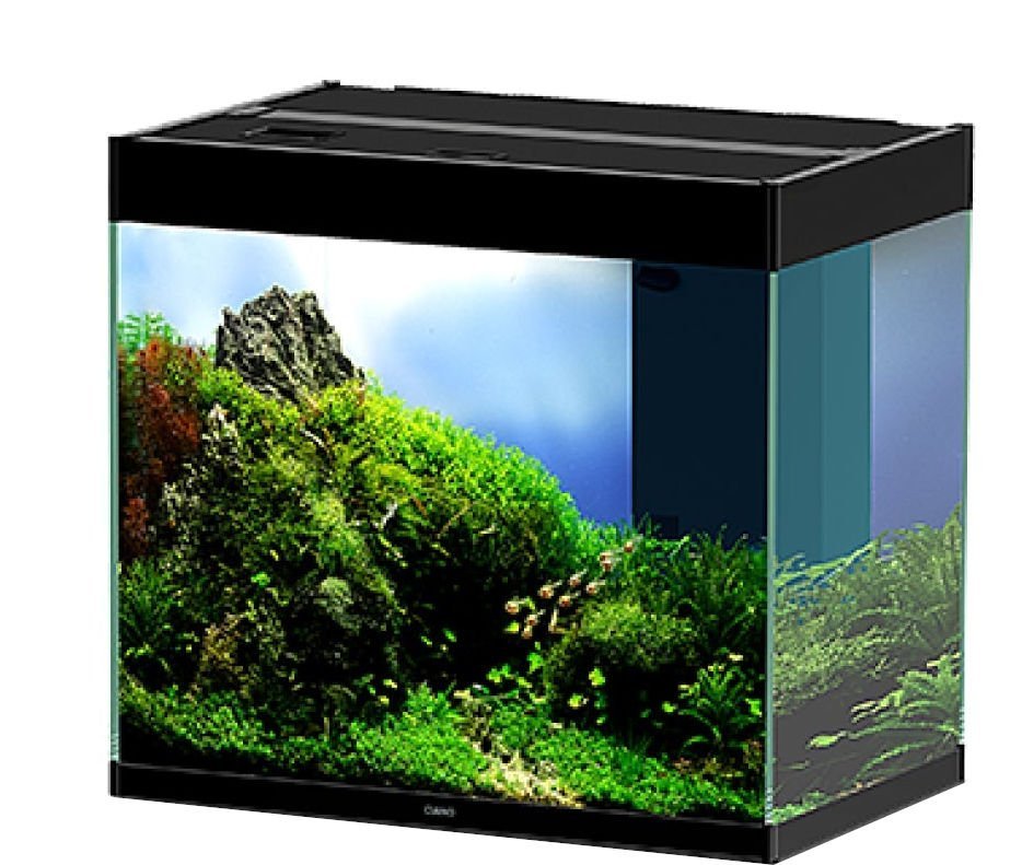 Ciano En Pro 60 Aquarium Only 108 Litres Black (AQM700708)