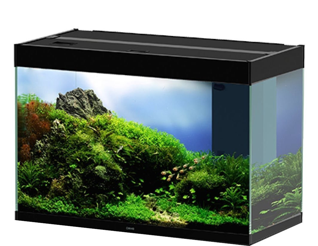 Ciano En Pro 80 Aquarium Only 145 Litres Black (AQM700710)