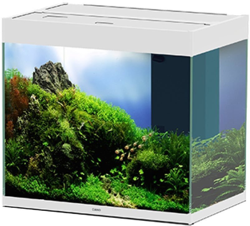 Ciano En Pro 60 Aquarium Only 108 Litres White (AQM700709)