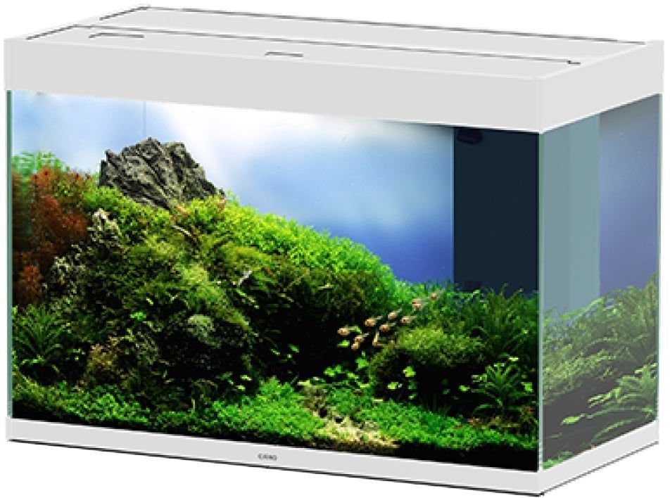 Ciano En Pro 80 Aquarium Only 145 Litres White (AQM700711)