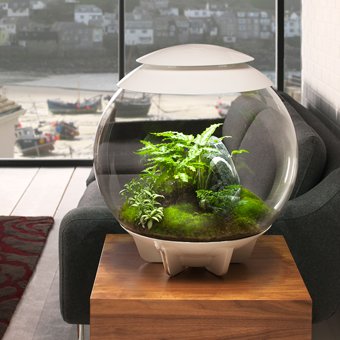 biOrb Terrarium Air Range