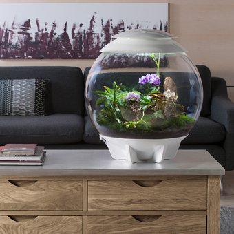 biOrb Terrarium Air Range