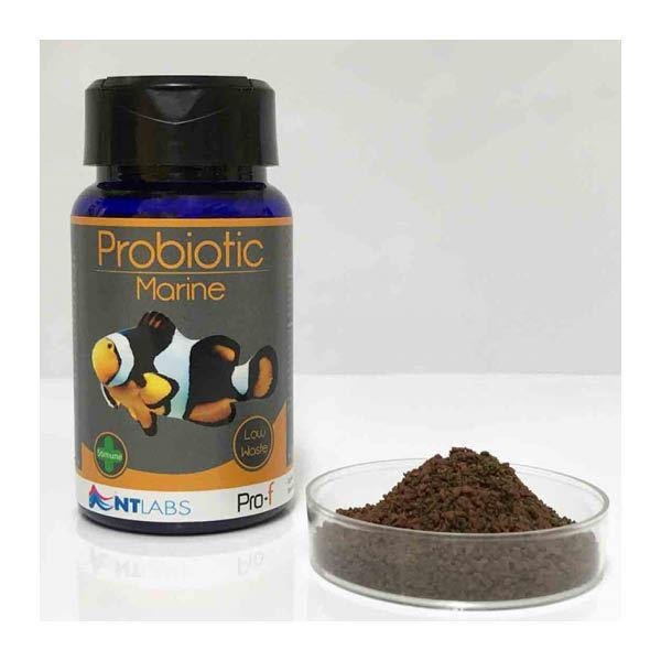 NT Pro-F Probiotic Marine 120g