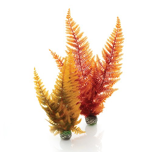 biOrb Plants & Decor Aquatic autumn fern set 2 (46065)