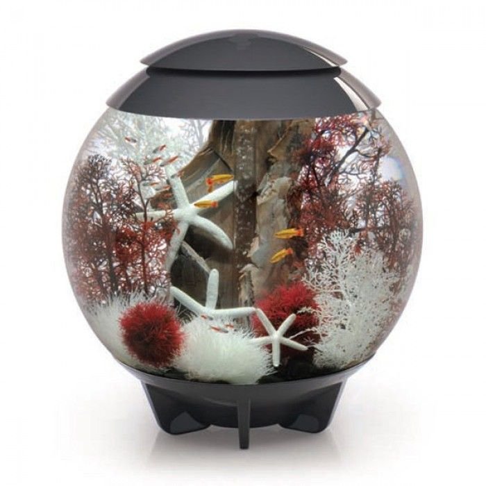 biOrb Aquariums Halo Range