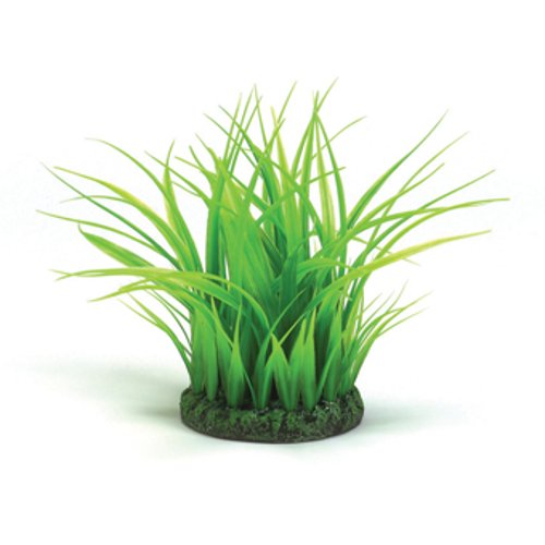 biOrb Plants & Decor Grass ring S green (46103)