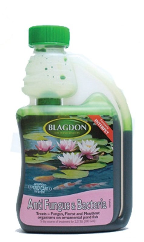 Blagdon Treat Anti Fungus & Bacteria 250ml (2678)