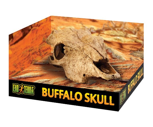 Exo Terra Buffalo Skull