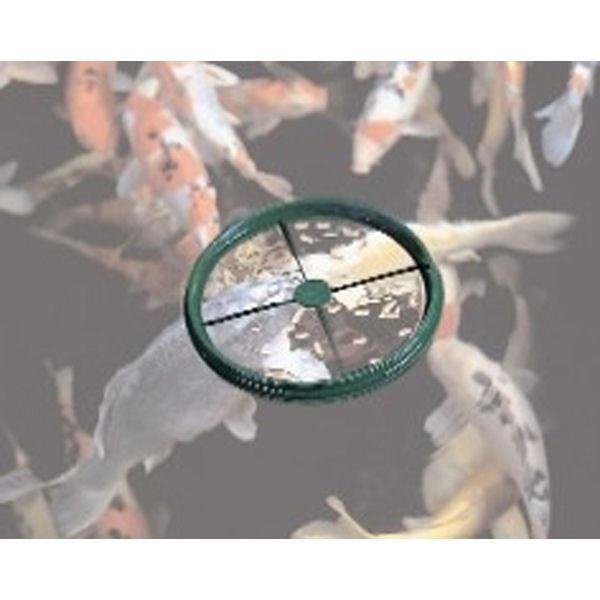 Nishikoi Feeding Ring