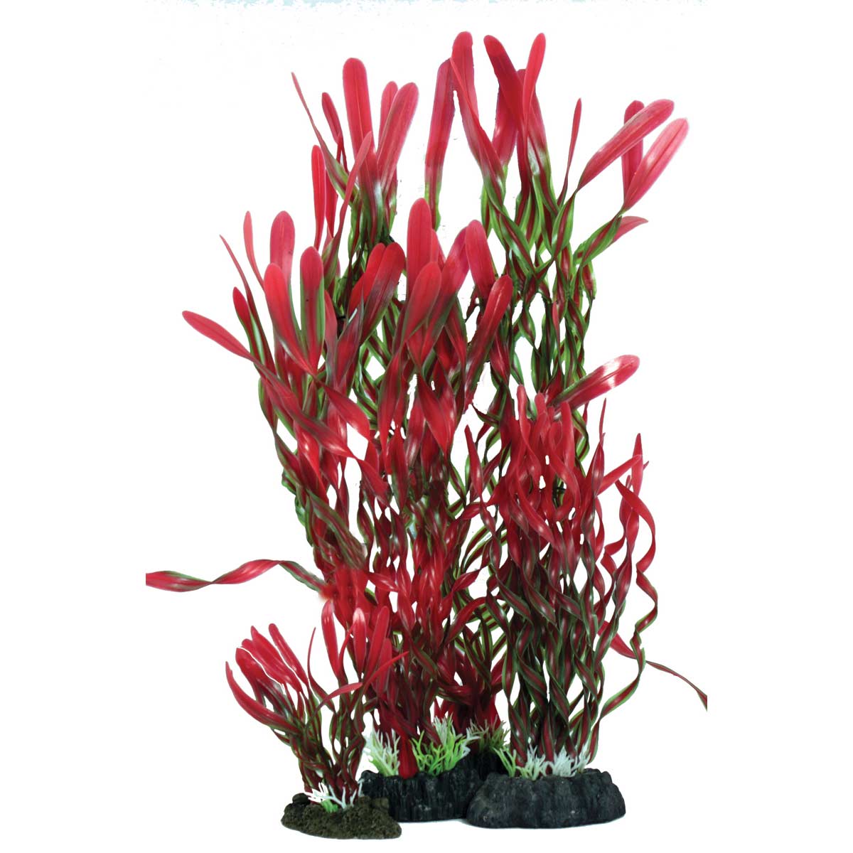 Hugo Kamishi Corkscrew Valissneria Red & Green 13cm