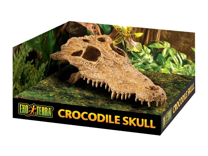 Exo Terra Crocodile Skull