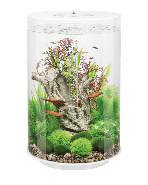 biOrb Aquariums Tube Range