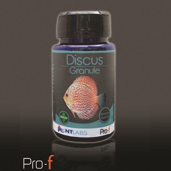 NT Pro-F Discus Granule 45g