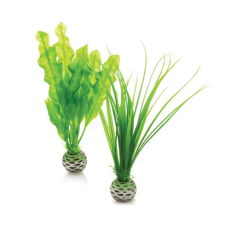 biOrb Plants & Decor Easy plant set S green (46055)