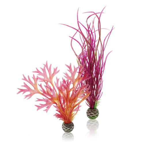 biOrb Plants & Decor Plant set M red & pink (46058)