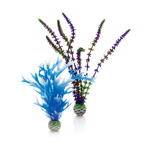 biOrb Plants & Decor Plant set M blue & purple (46059)