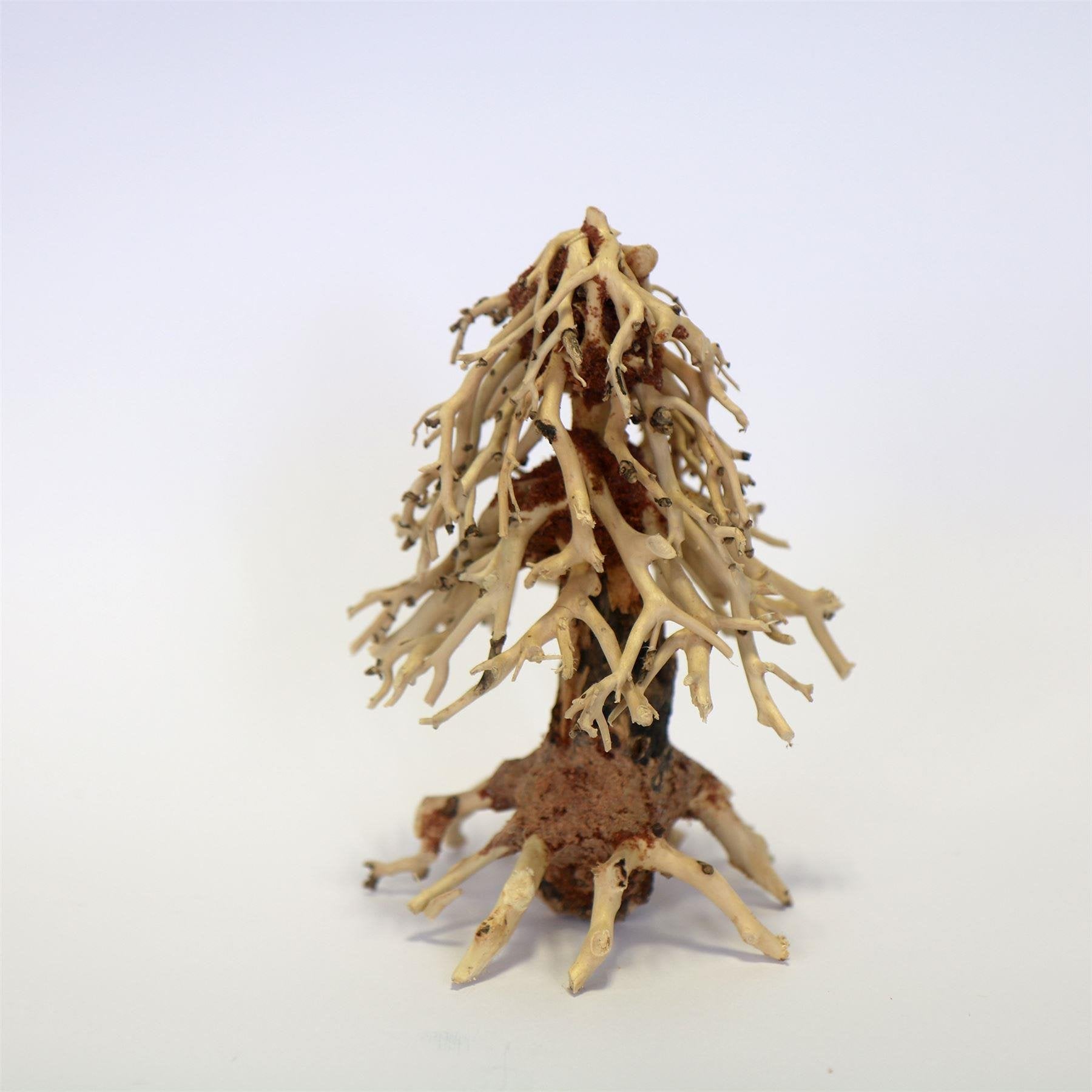 Christmas Tree Wood Small Pc 10 x 20 x 15cm