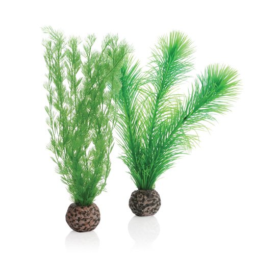 biOrb Plants & Decor Feather fern set S green (46083)