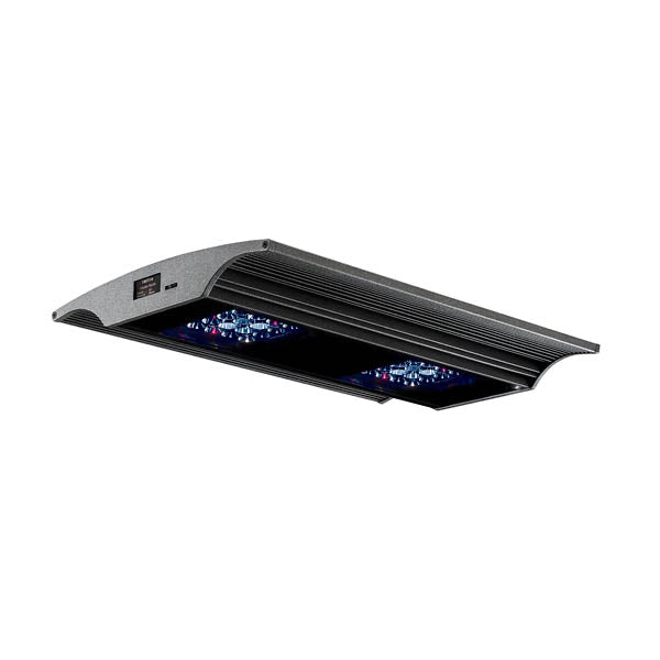 Giesemann Vervve S Plus White LED Light - Irridium