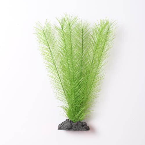 Hugo Kamishi Green Fern 18-20cm Suitable For All Aquariums