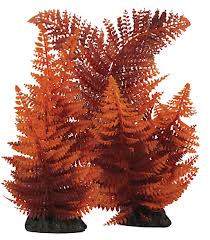 Hugo Kamishi Broad Leaf Red Fern 13cm Aquarium Plant