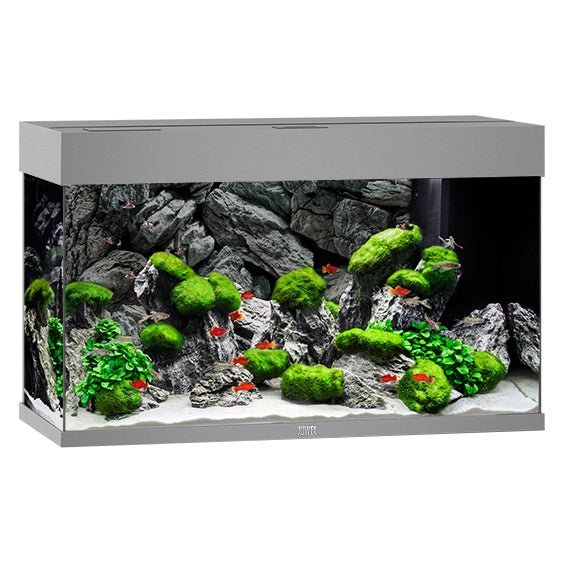 Juwel Aquariums Rio 125 Litre LED grey (01652)