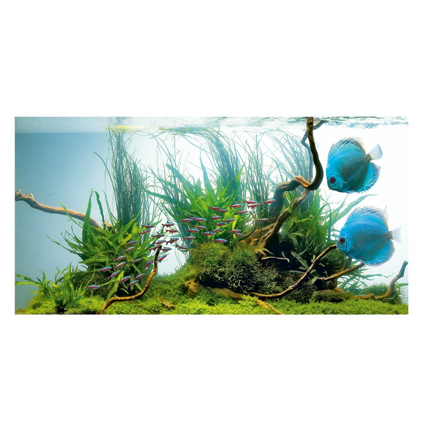 Juwel Day Lite T8 Aquarium Light