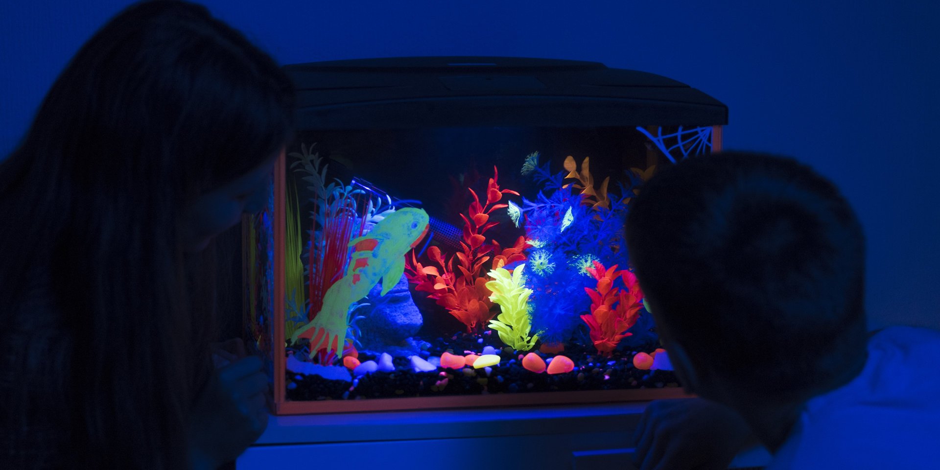 Interpet Kids Glow Aquarium Range