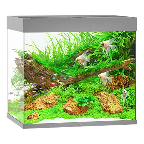 Juwel Aquariums Lido 200 Litre LED grey (11962)