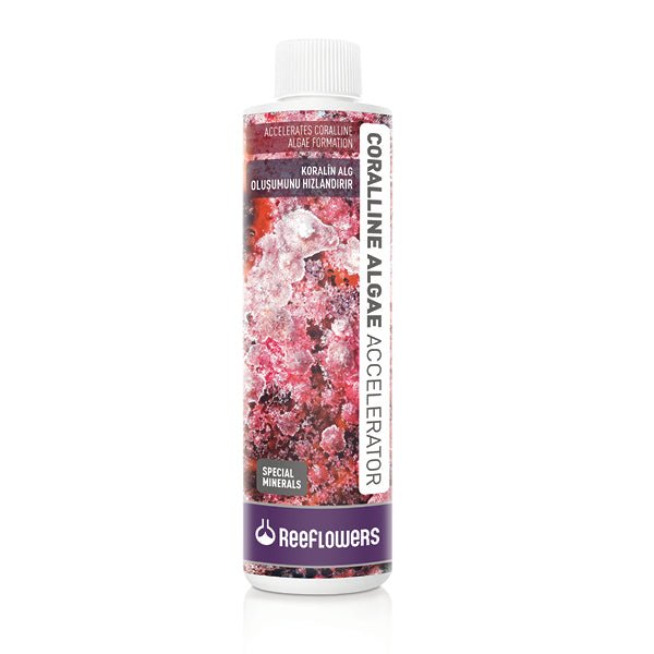 Reeflowers Coralline Algae Accelerator - 500ml