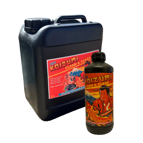 Mr Koizumi - Clean & Clear