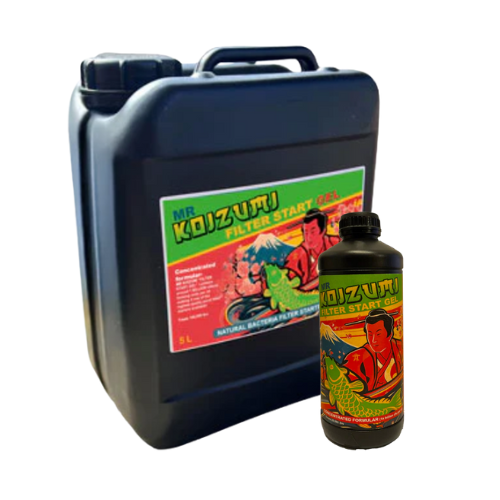 Mr Koizumi - Filter Start