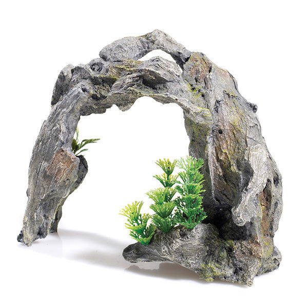 Classic Driftwood Arch With Plants 2610