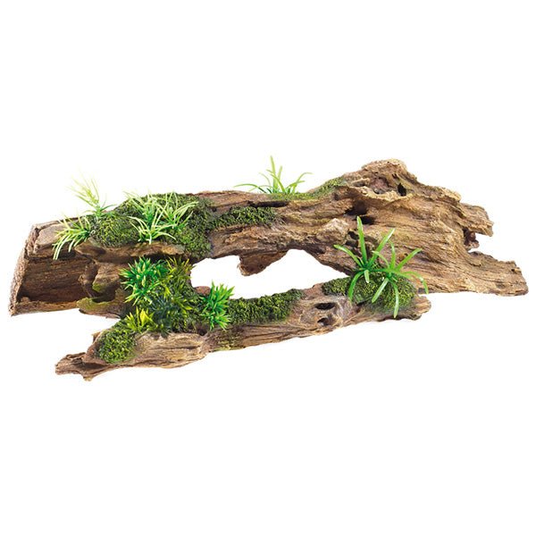 Classic Driftwood With Plants 3084