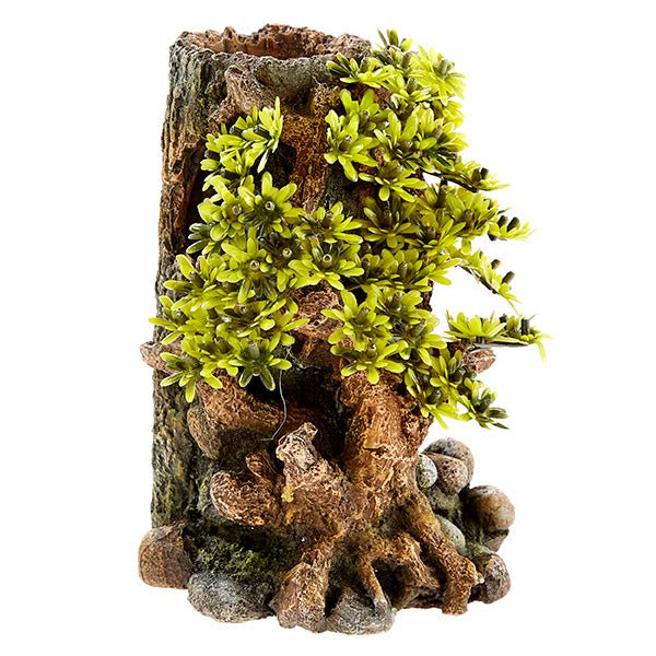 Classic Bonsai With Plants 3411