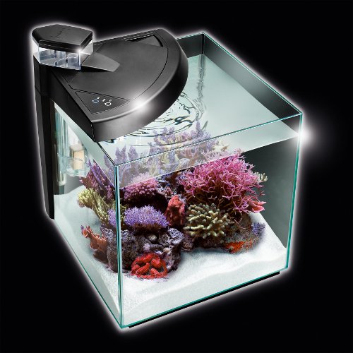 Newa More 30 Reef - 28 Litre Reef Aquarium - Black