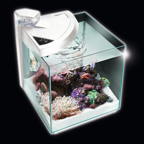 Newa More 30 Reef - 28 Litre Reef Aquarium - White