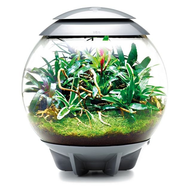 biOrb Terrarium Air Range