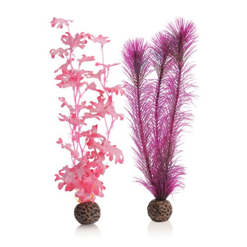 biOrb Plants & Decor Kelp set M pink (46082)