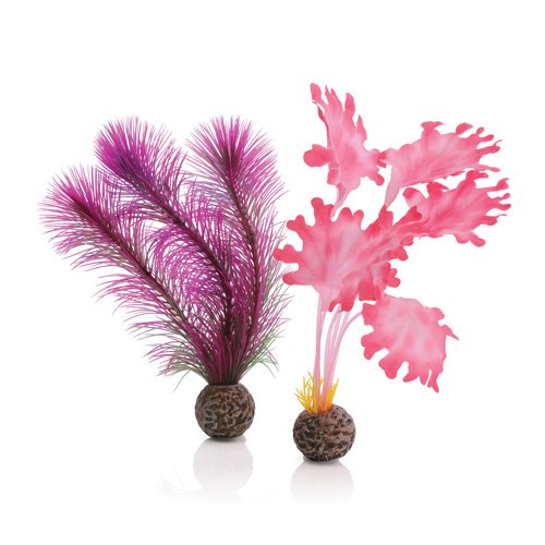 biOrb Plants & Decor Kelp set S pink (46081)