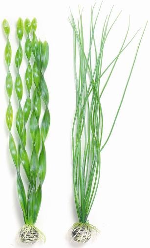 biOrb Plants & Decor Easy plant set L green (46057)