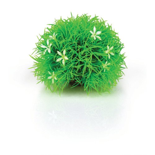 biOrb Plants & Decor Topiary ball with daisies (46086)