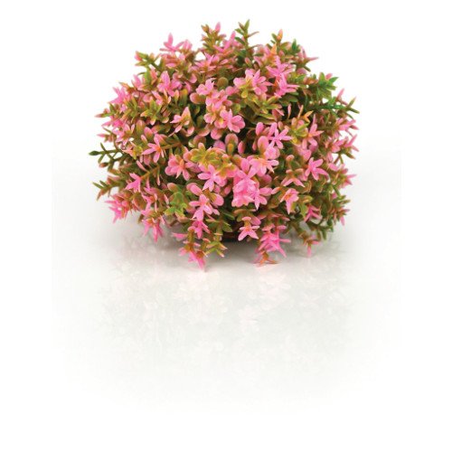 biOrb Plants & Decor Flower ball pink (46088)