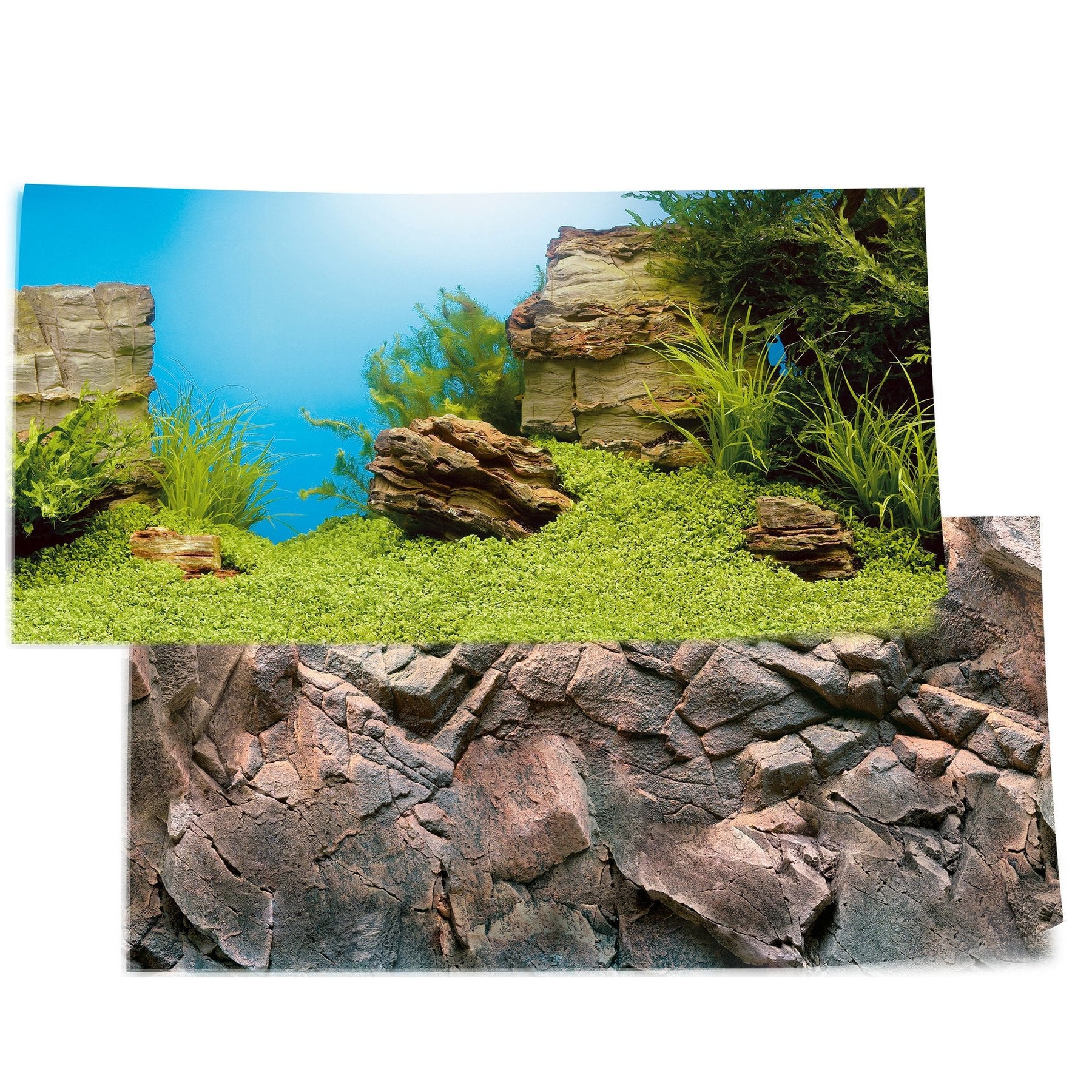 Juwel Decoration Rear wall posters Poster 1 L - 100 x 50cm (86260)