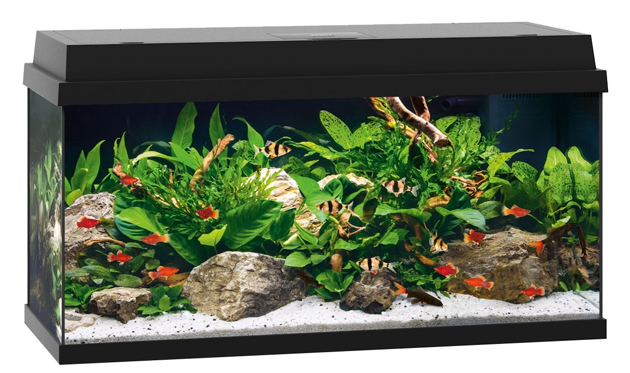 Juwel Aquariums Primo 110 Litre black (25382)