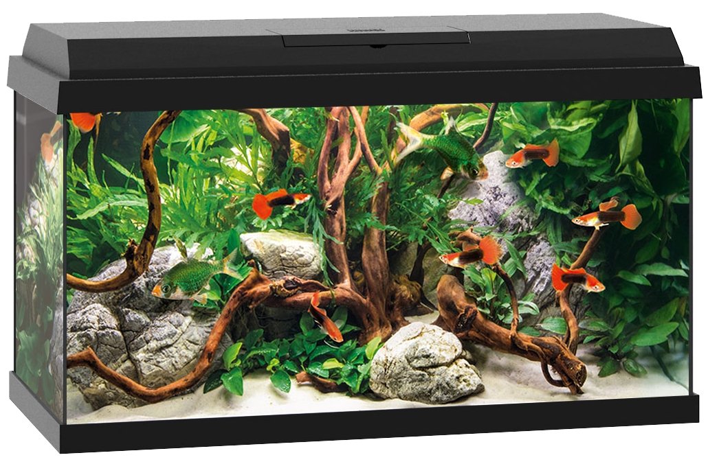 Juwel Aquariums Primo 60 Litre black (25362)